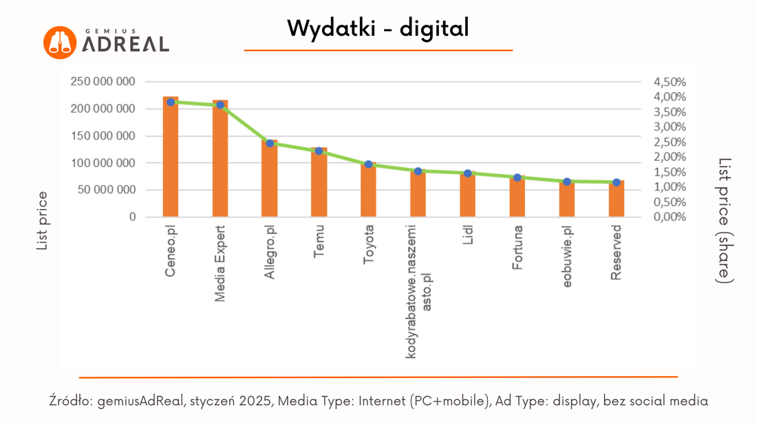 styczen 2025 wydatki digital